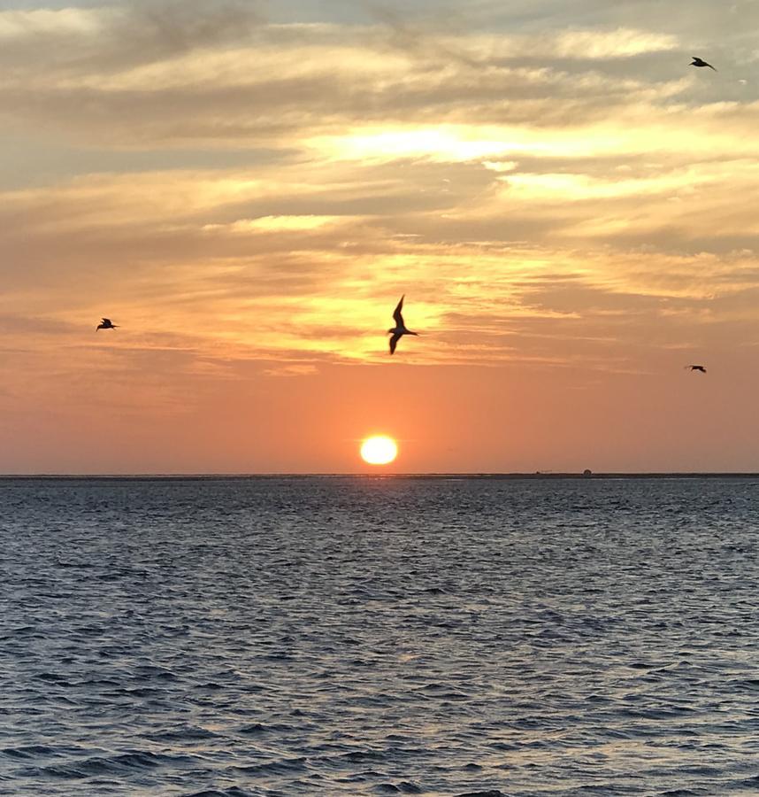 Lala Lodge Pemba Zanzibar Mgini Exteriér fotografie